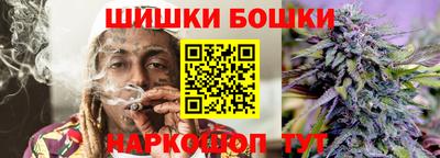 СК Кингисепп