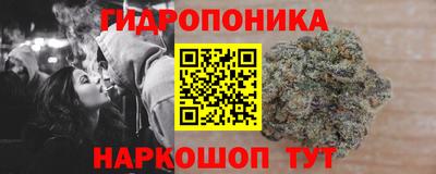 СК Кингисепп