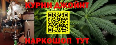 СК Кингисепп