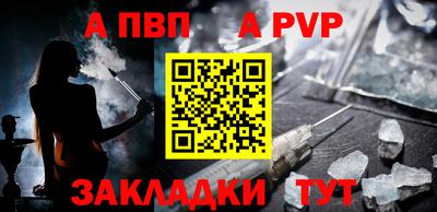 СК Кингисепп