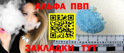 СК Кингисепп