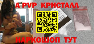 СК Кингисепп