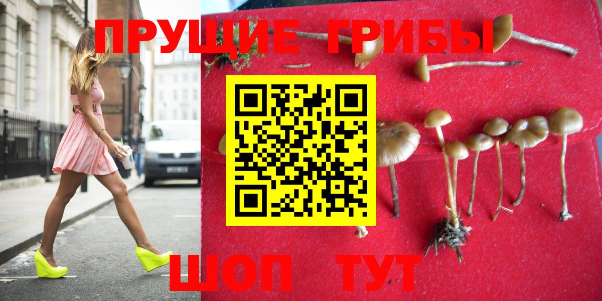 Псилоцибиновые грибы мухоморы  Псилоцибиновые грибы Magic Shrooms  Вход с VPN  закладки  Красный Сулин 